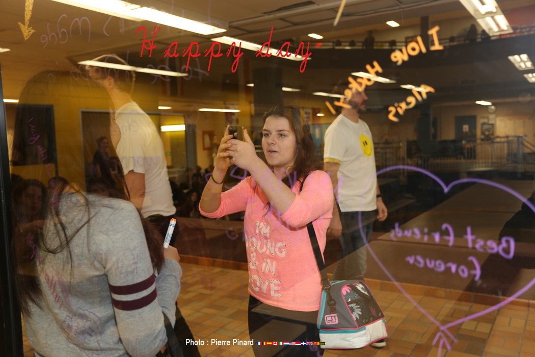 Du Tournesol « Happy day »